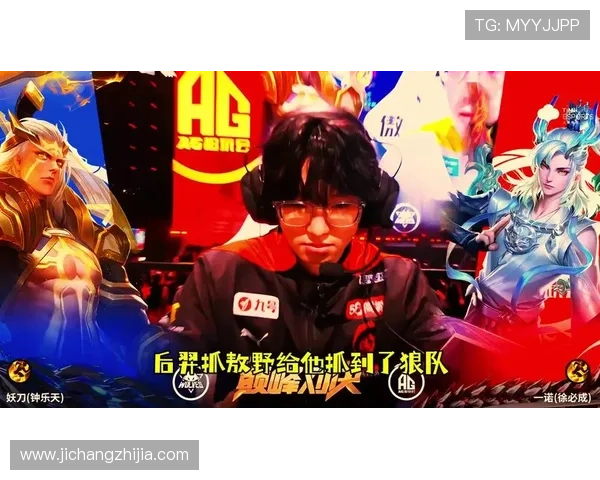 详细介绍AG九游官网的入口选择及其使用方法深入分析